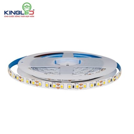LED dây dán DC12V 12W KingLED
