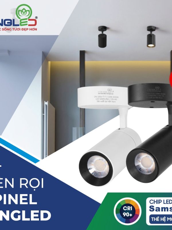 Đầu nối điện Đèn LED Rọi Ray DN-D (Đen)