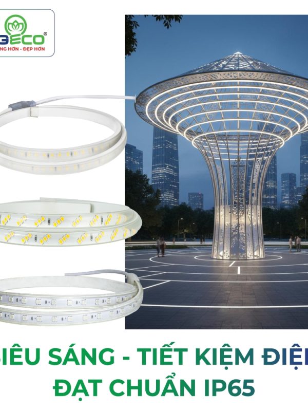 Đèn led Dây Kingled Dòng Kingeco, Chip 5050 đổi màu RGB 7W/m kích thước 1000x15.5x6.5mm