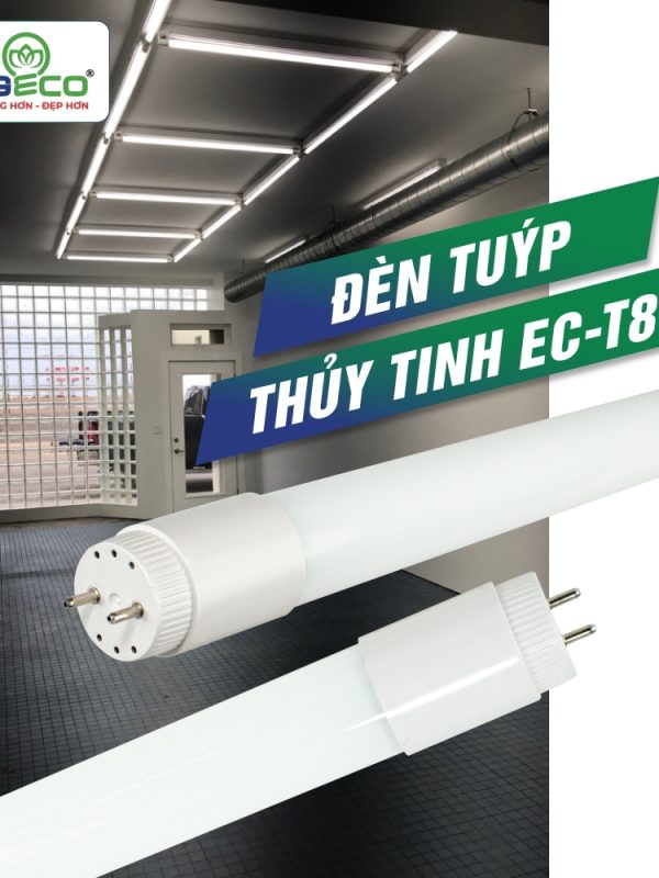 Đèn led Tuýp Thủy Tinh Kingled Dòng Kingeco, Ánh sáng Trắng 6500K 15W kích thước D600mm