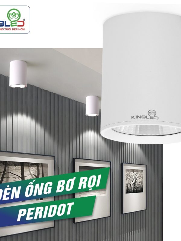 Đèn led Trụ Sân Vườn Kingled Nguồn AC 220V, IP65 8W kích thước A95xB250mm