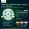 Đèn led Dán DC Kingled 5m/cuộn, 3 Chế Độ Ánh Sáng 12W/m bản rộng 8mm nguồn cấp 12VDC
