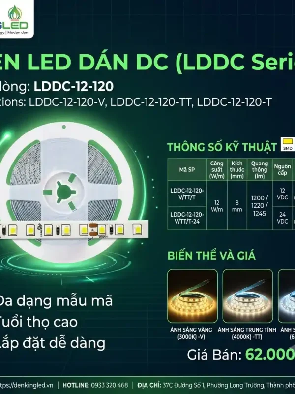 Đèn led Dán DC Kingled 5m/cuộn, 3 Chế Độ Ánh Sáng 12W/m bản rộng 8mm nguồn cấp 12VDC