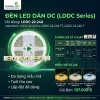 Đèn led Dán DC Kingled 5m/cuộn, 3 Chế Độ Ánh Sáng 22W/m bản rộng 10mm nguồn cấp 12VDC