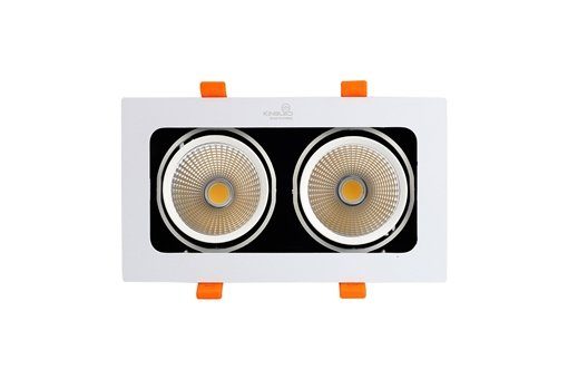 Đèn LED Âm Trần Rọi Topaz 10W (GL-2*10-V227) Kingled